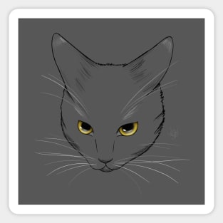 Angry Cat Yellow Eyes Line Art Sticker